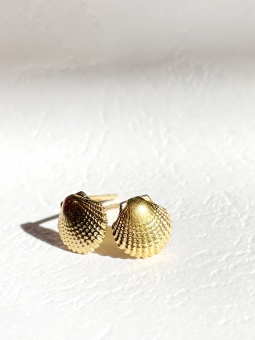 kolczyki sztyfty z muszelkami