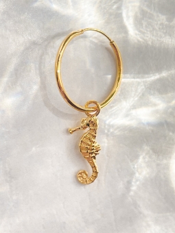 kolczyk z konikiem morskim